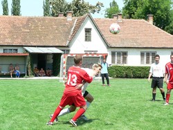748_2006071092908_490.jpg
