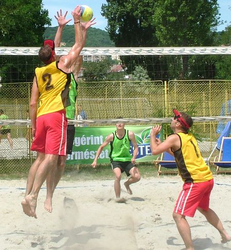 A férfiak mezőnyében a Koch Norman, Szauter Péter páros nyerte a NESTEA Magyar Strandröplabda Bajnokság 2008-as idényének első A-kategóriás versenyét Százhalombattán