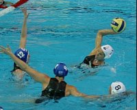 domino_honved_449_20081211173454_16.jpg domino_honved_449_20081211173454_16.jpg