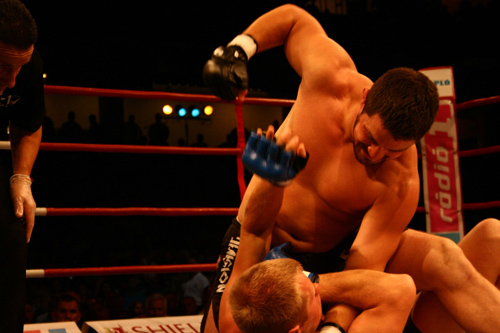 Bárdosi Sándor martial arts Bárdosi Sándor