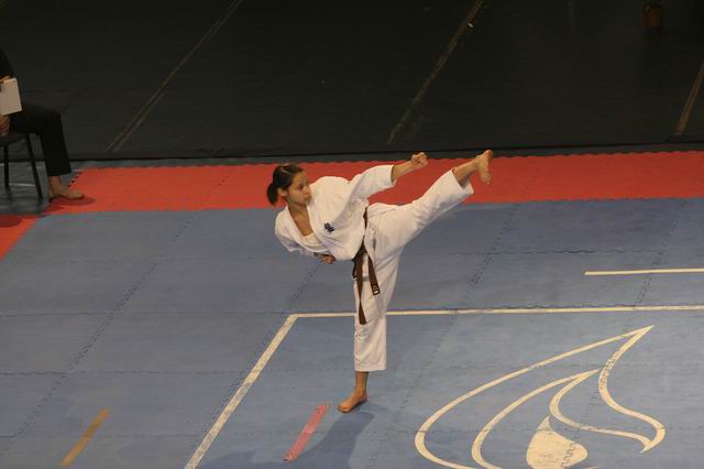 Kyokushin Verseny GAZ.HU HUNGARIAN OPEN 2009
