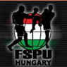A K-1 budapesti nemzetközi gálájáról Katona Attila, a verseny szervezője