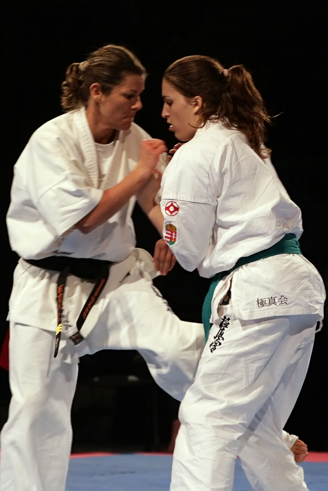 Kyokushin Hungarian Open 2009