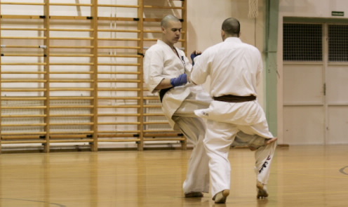 Balogh Zsolt, karate válogatott
