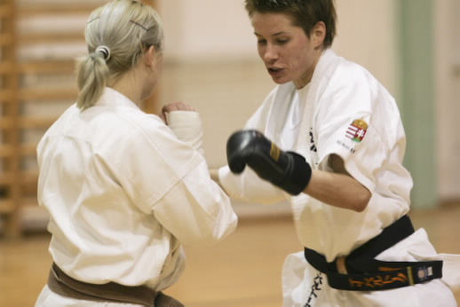 Magyar Kyokushin Karate Szervezet válogatott kerete