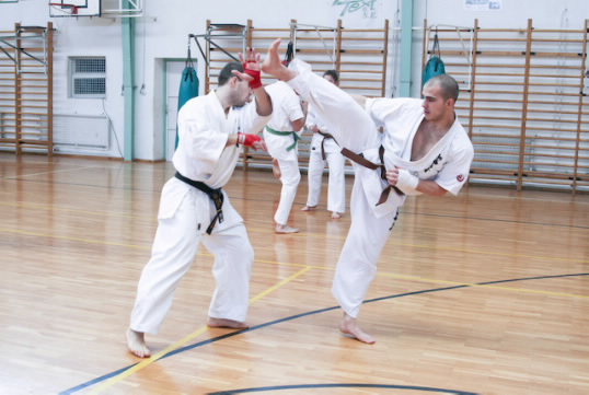 Tokaji Norbert Magyar Kyokushin Karate Szervezet  
