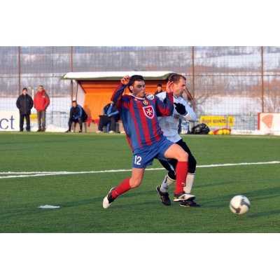 Nemanja Nikolics, a Vidi szerb csatára