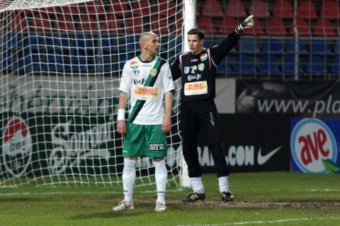 Rózsával Szarka foglalkozott