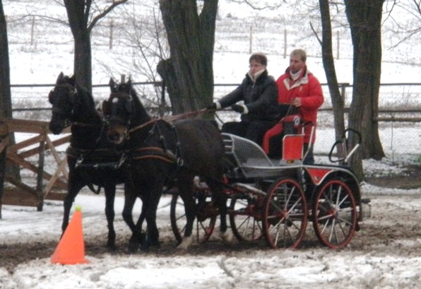 Prukner, a fogathajtó